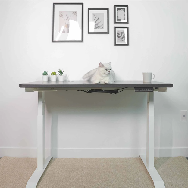 7 Key Features and Benefits of Using MotionGrey Sit Stand Desk in its Working Place